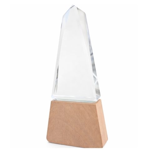 Trofeo de cristal con base de madera oscura